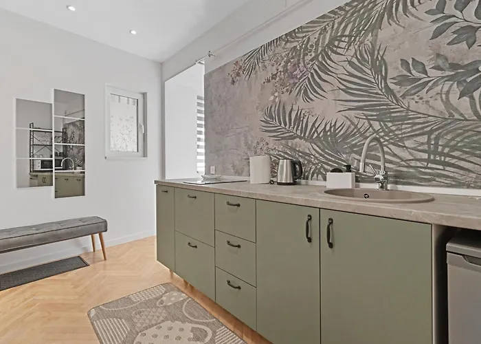 Apartment Soos Brașov